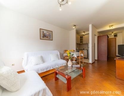 APPARTAMENTI DI LUSSO, , alloggi privati a Budva, Montenegro - Apartment-for-rent-in-Budva (1)